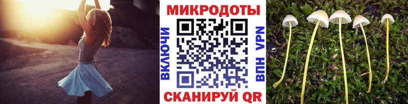 Купить где  Фёдоровский  Псилоцибиновые грибы Magic Shrooms 